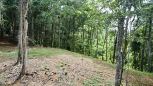 Photo-19-5-24-2-01-01 PM